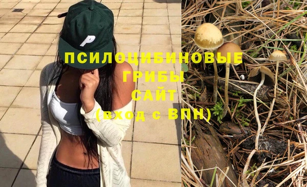 прущая мука Верея
