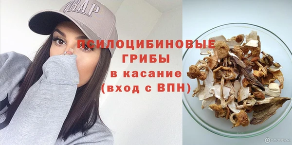 прущая мука Верея