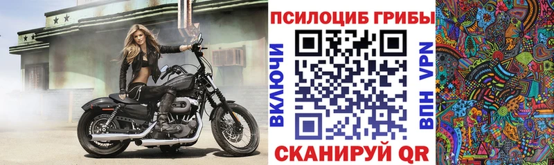 Галлюциногенные грибы Magic Shrooms  Воткинск 